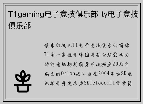 T1gaming电子竞技俱乐部 ty电子竞技俱乐部